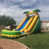 18ft Palm Tree’s Water Slide