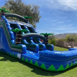 18ft H Double Lane Water Slide